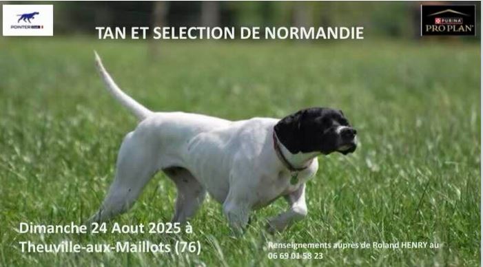TAN POINTER
